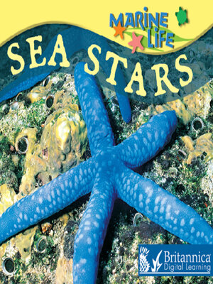 cover image of Sea Stars